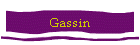 Gassin